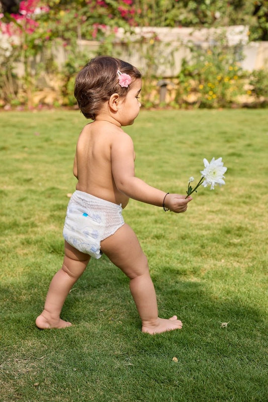 Pokito Diaper Pants (L) 11-16Kg - Pokito Baby